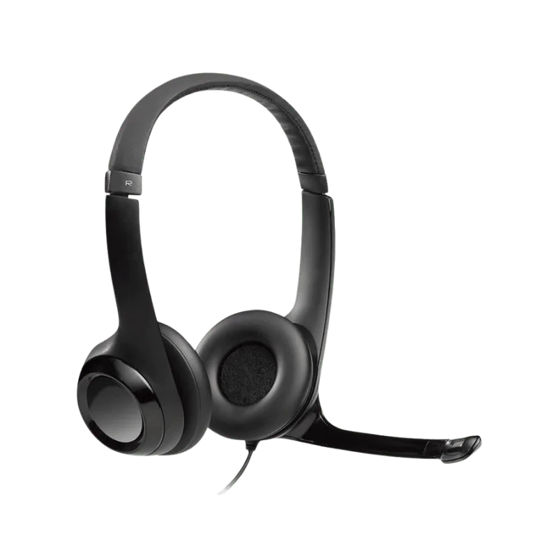 Logitech USB Stereo Headset H390: On-Ear USB A/C Headset