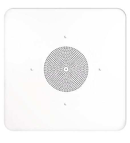 2'x2' G86 Ceiling Tile Speaker